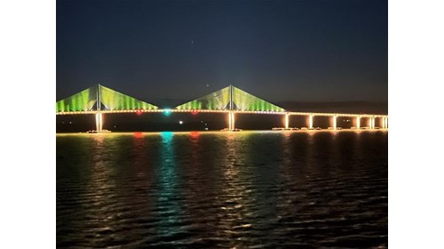Tampa Cruise Specialist