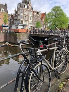 Amsterdam and all of the bikes