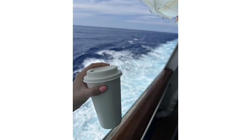 Ocean Cruise Expert