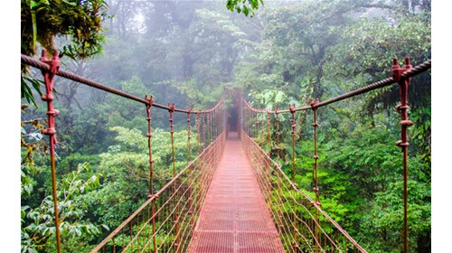 Plan a Costa Rica Vacation with a Travel Expert