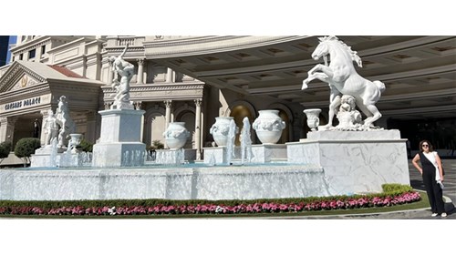 Your Winning Hand to Las Vegas