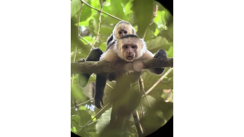 Costa Rica