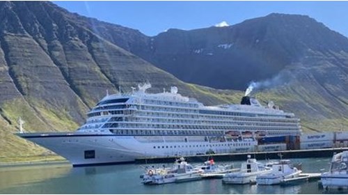 Viking Cruise Specialist 