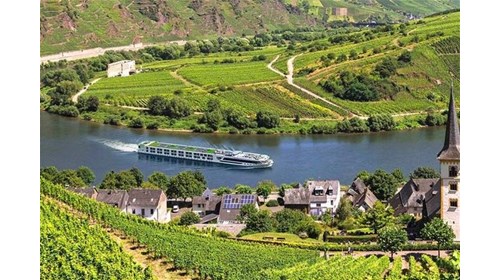 Moselle River Cruise Travel Agent Near Me