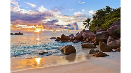 Discover the Beauty of Seychelles