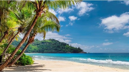 Jamaica Travel Agent Specialist