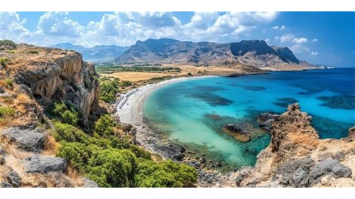Bermuda Travel Agent Professional 