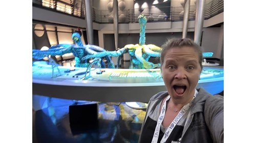 Agent Specialization:Florida Theme Parks & Beyond 