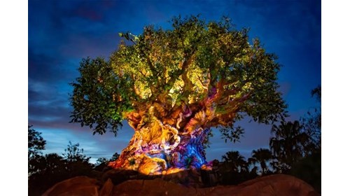 Explore Orlando