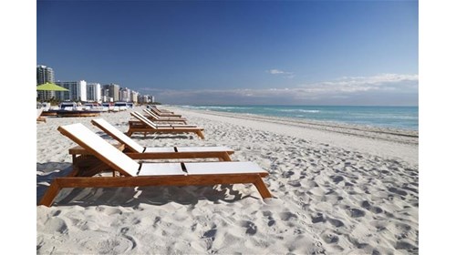 Miami, Florida Destination Specialist