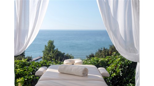 Wellness Travel Expert