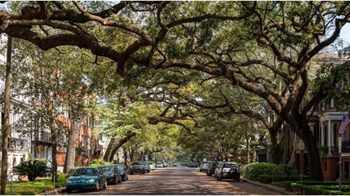 Savannah, Georgia 