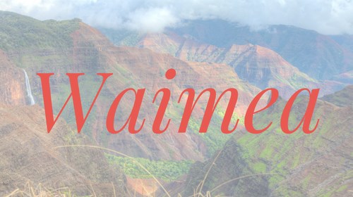Waimea Travel Agent Expert