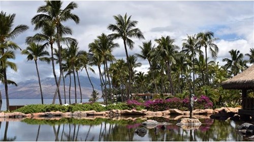 Hawaii: Where Paradise Comes to Life 