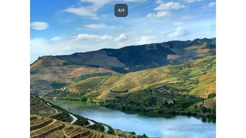 Douro River Cruise Portugal Advisor
