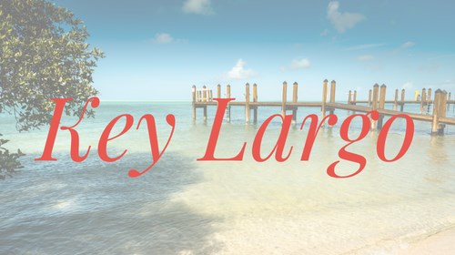 Key Largo Travel Agent Expert