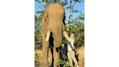 South Africa & Southern Africa Safari Specialist