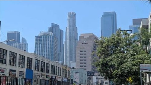 Los Angeles Travel Agent Professional