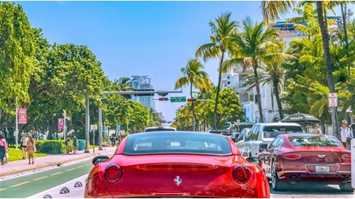 Miami Travel Agent Professional