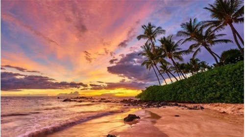 Maui Hawaiian Experts