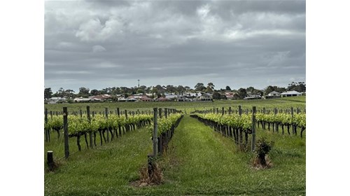 Uncork Australia 