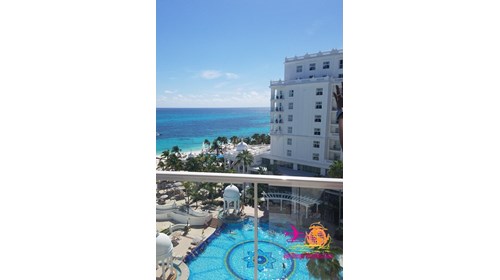My view of Paradise 