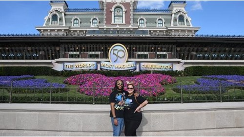 Disney Dream Vacation Curator