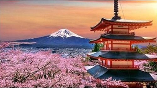 Custom Japan Travel Specialist