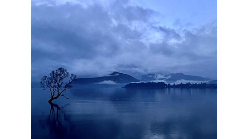New Zealand Through My Eyes
