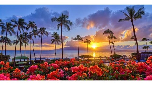 Hawaii Travel Agent Specialist