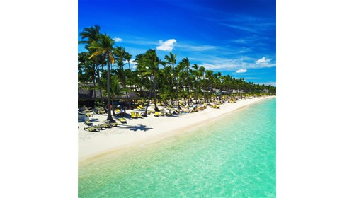 Discover the Dominican Republic