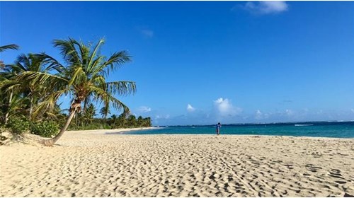 Caribbean Travel Agent Specialist 