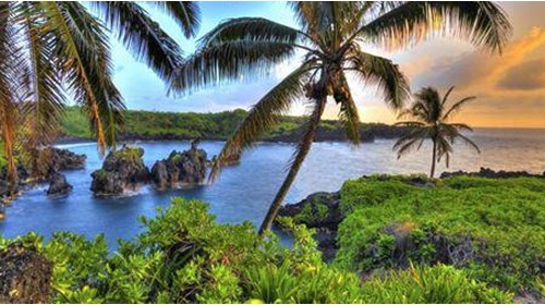 Hawaii Travel Specialist 