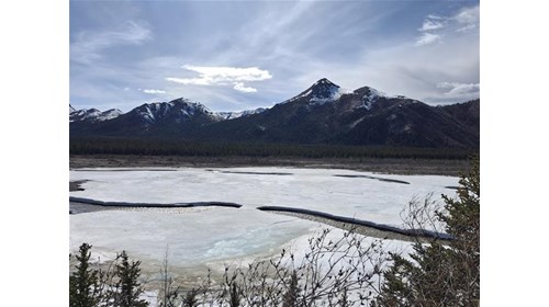 My Alaska Adventure: A Journey I'll Never Forget