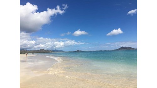 Expert in Mexico and Hawaii Vacations