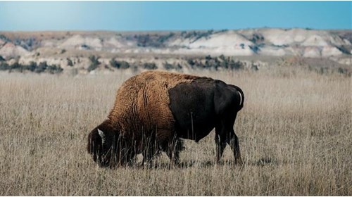 North Dakota Travel Advisor 