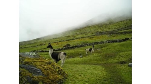 Chile & Bolivia: Adventures Along the Andes