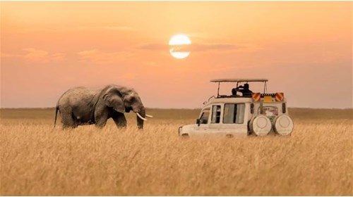 Africa Exploration & Safari Travel Agent Advisor  