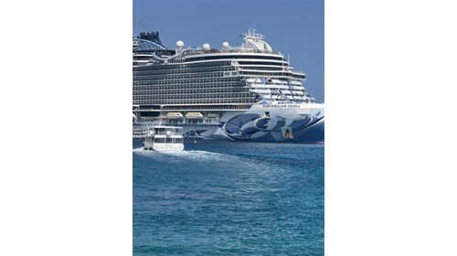 Caribbean Cruise Specialist