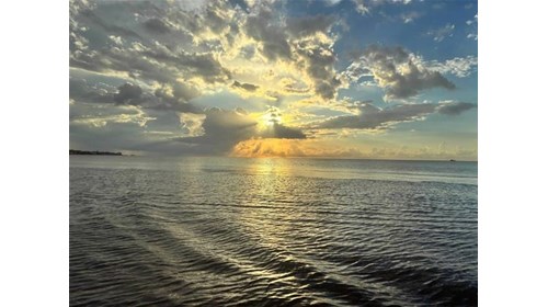 Cruises and All Inclusive Expert