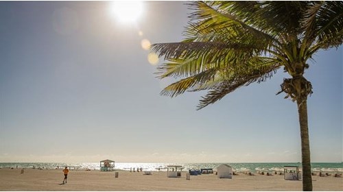 Florida Travel Agent Specialist 