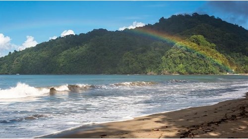 Jamaica Romantic and Family Getaways