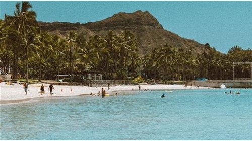 Oahu Travel Agent Expert