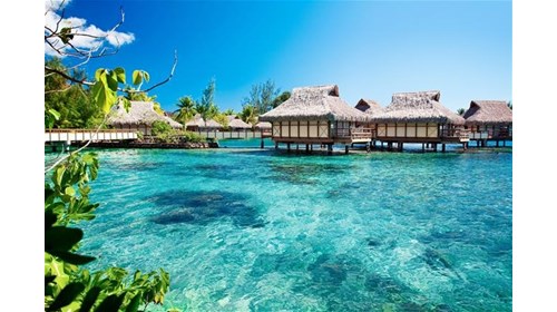 Honeymoons & Romantic Getaways