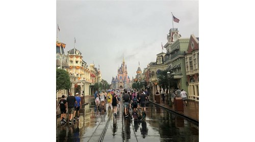 Walt Disney World Expertise and Care 