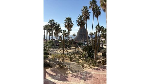 All Inclusive Vacations
