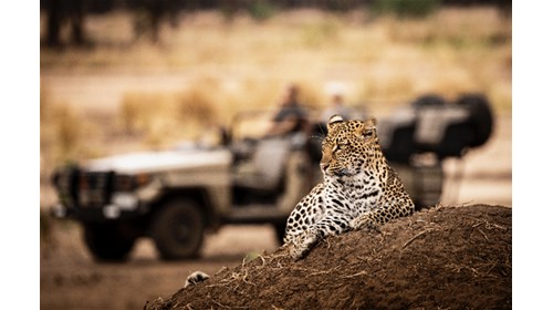 Micato Custom Luxury Safari Specialist