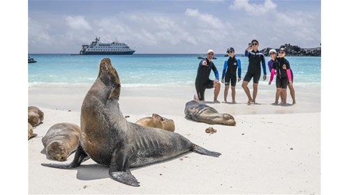 Galápagos Islands Expert