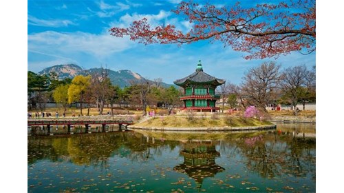 Proof That South Korea Belongs on Your List.