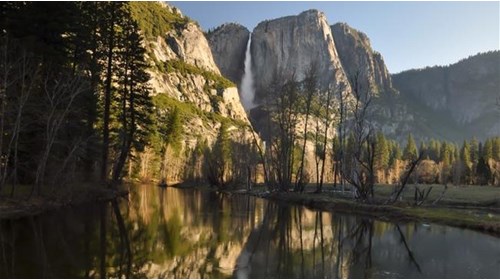 California Travel Agent Advisor 